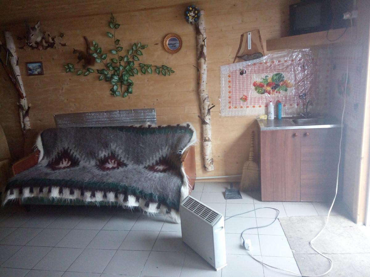 Hotel Edelveys à Vorokhta Extérieur photo