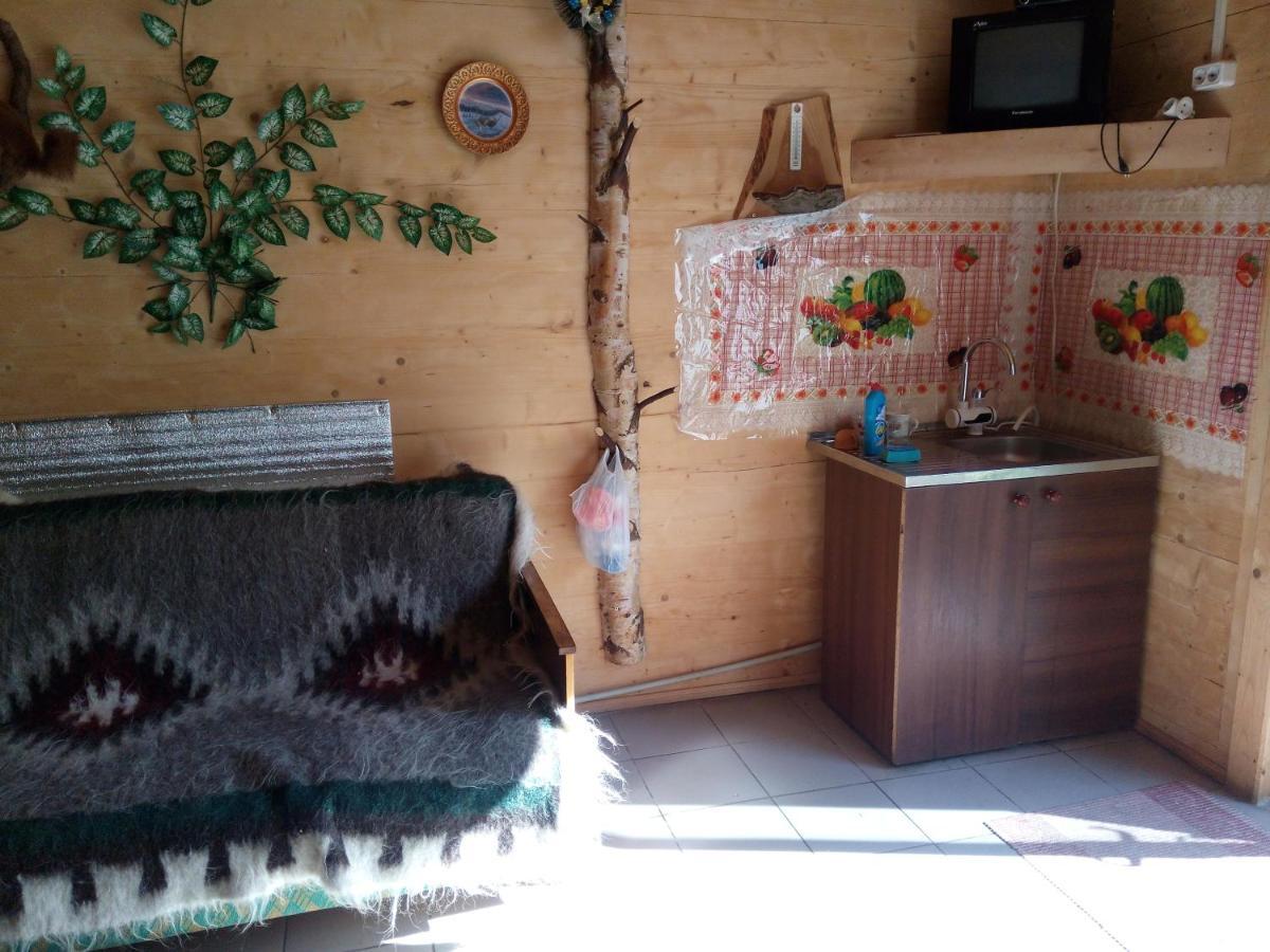 Hotel Edelveys à Vorokhta Extérieur photo