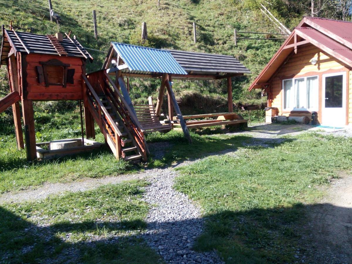 Hotel Edelveys à Vorokhta Extérieur photo